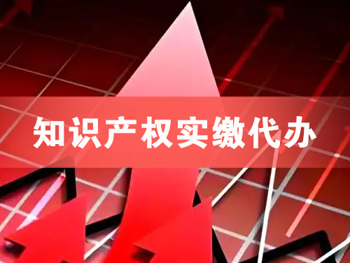 白云知识产权实缴资本代办
